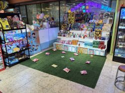 -卡通尼·Safari非洲探索乐园·生日会(金桥国际商业广场店)