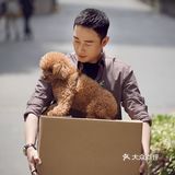 最近一直在同步追剧，《安家》