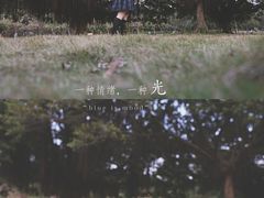 -南沙蒲洲花园