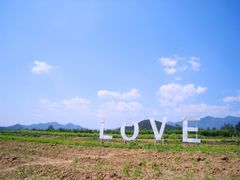 -北京东方普罗旺斯薰衣草庄园