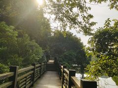 -白马涧龙池景区