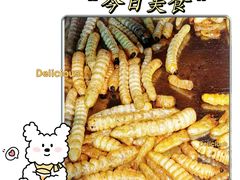 -昆虫窝子·特色云南菜(拓东路总店)