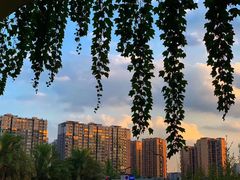 -府河摄影公园