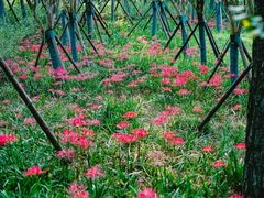 -千龙湖生态旅游度假区