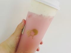 荔枝多肉-喜茶(北京三里屯太古里店)