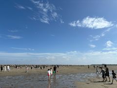 -奉贤海滩