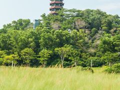 -红花山公园