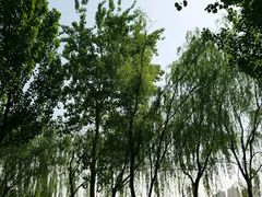 -秀水公园
