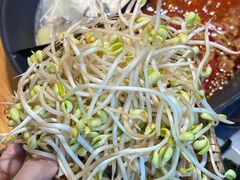 -阳阳老火锅(小南门店)