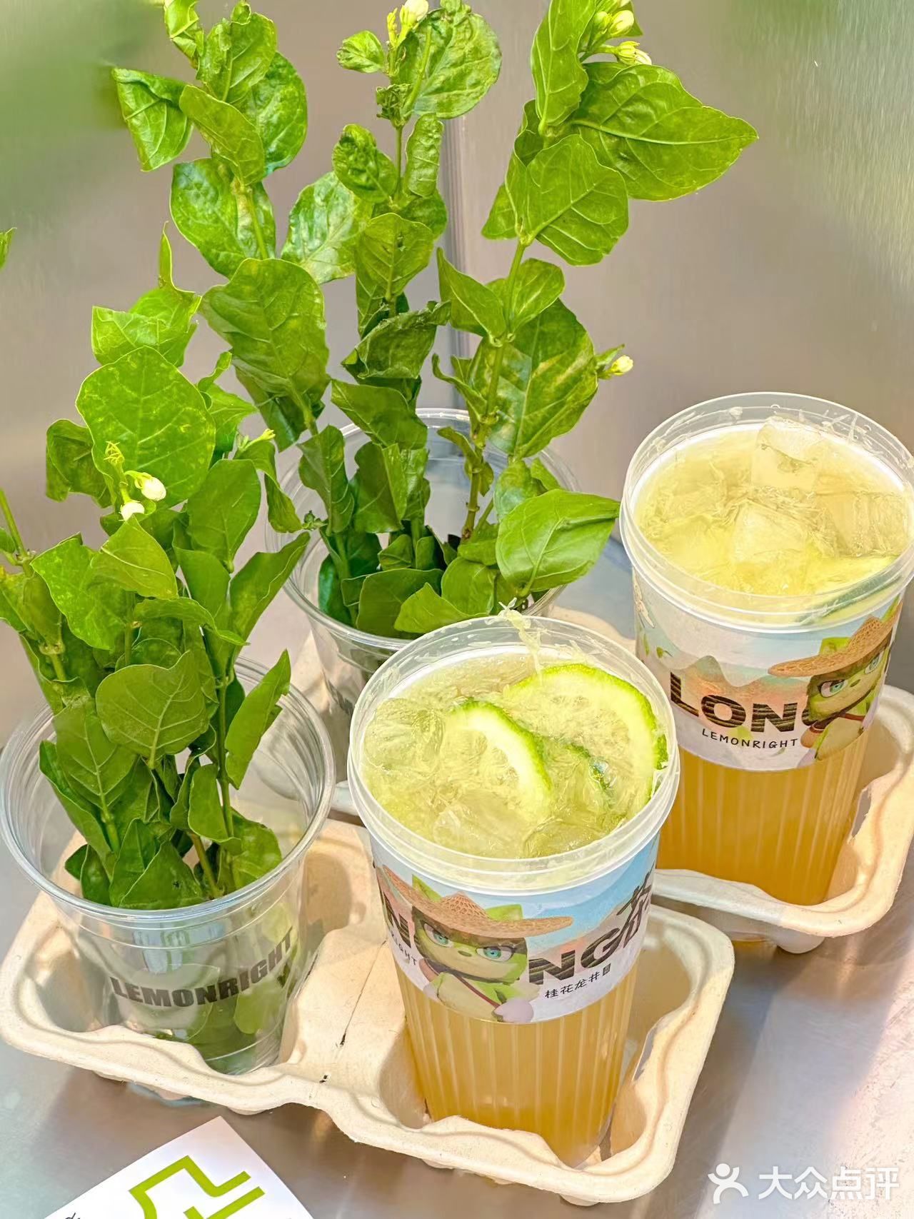 简直就是春天里必喝的奶茶好吗️ 茉莉柠檬茶
