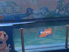 -秦皇岛新澳海底世界