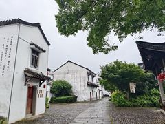 -东梓关景区村庄