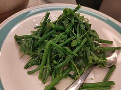清香丝瓜尖-中国徽菜·徽商故里(远大店)