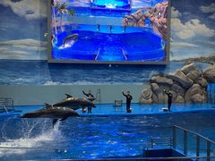 -福州罗源湾海洋世界旅游区