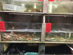 -龙宫海鲜楼(长乐漳港店)