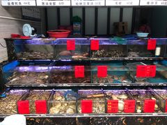 -金海湾海鲜排档(朱家尖店)