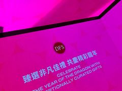 -DFS迪斐世(香港广东道店)