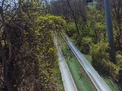 -富斯特索道