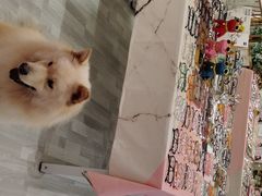 -肆兮眼镜·蔡司·徕卡战略合作店(大坪店)