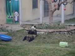 -西安秦岭野生动物园