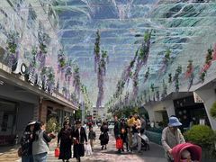 -嘉定紫藤园