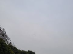 -贡湖湾湿地公园