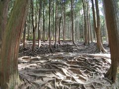 -含鄱口