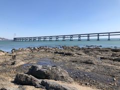 -星海湾跨海大桥