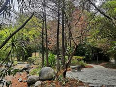 -深圳国际园林花卉博览园