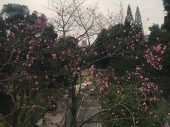 -广州市白云山风景名胜区