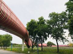 -江苏三台山国家森林公园