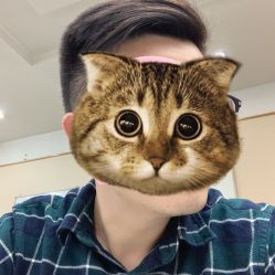 -RAYA韩国造型