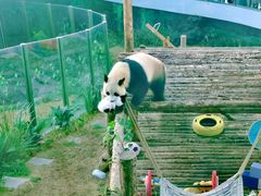 -大连森林动物园