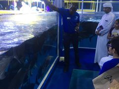 -迪拜水族馆及水下动物园
