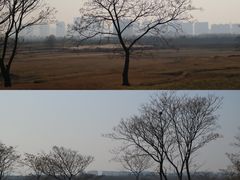 -盘龙城国家考古遗址公园