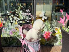 -韵咖啡自助餐厅(天津香格里拉店)
