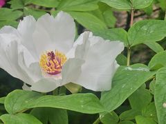 -苏州河梦清园环保主题公园