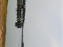 -仙湖旅游度假区