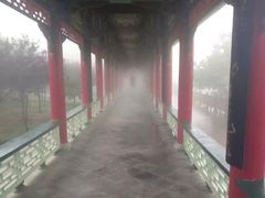 -兰山公园