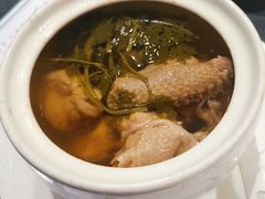 乳鸽汤-怡情荟•海鲜青岛菜(五四广场旗舰店)