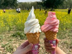 -天津武清北运河郊野公园房车露营地