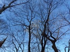 -终南山南五台景区