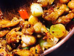 -蛙麻蛙辣炭火蛙锅(南环大街店)