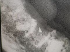 -pd派德宠物中心医院24H急重症·眼科中心·血液透析中心(嵩山北路店)