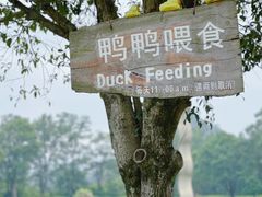 -Club Med地中海俱乐部·桂林度假村