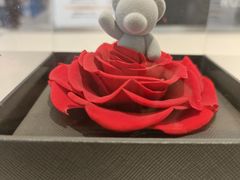 -ROSEONLY诺誓(青岛万象城店)