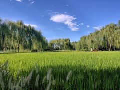 -北坞公园