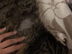 -宠颐生中康贝怡动物医院