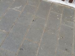 -沈阳市东陵公园