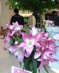 -OnHair Salon
